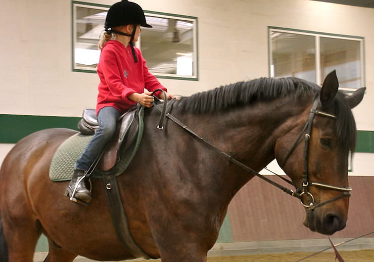 Reiten