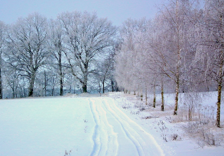 Zuwegung im Winter